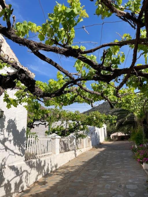 Villa Real Fundicion De Alcora Canjáyar Esterno foto