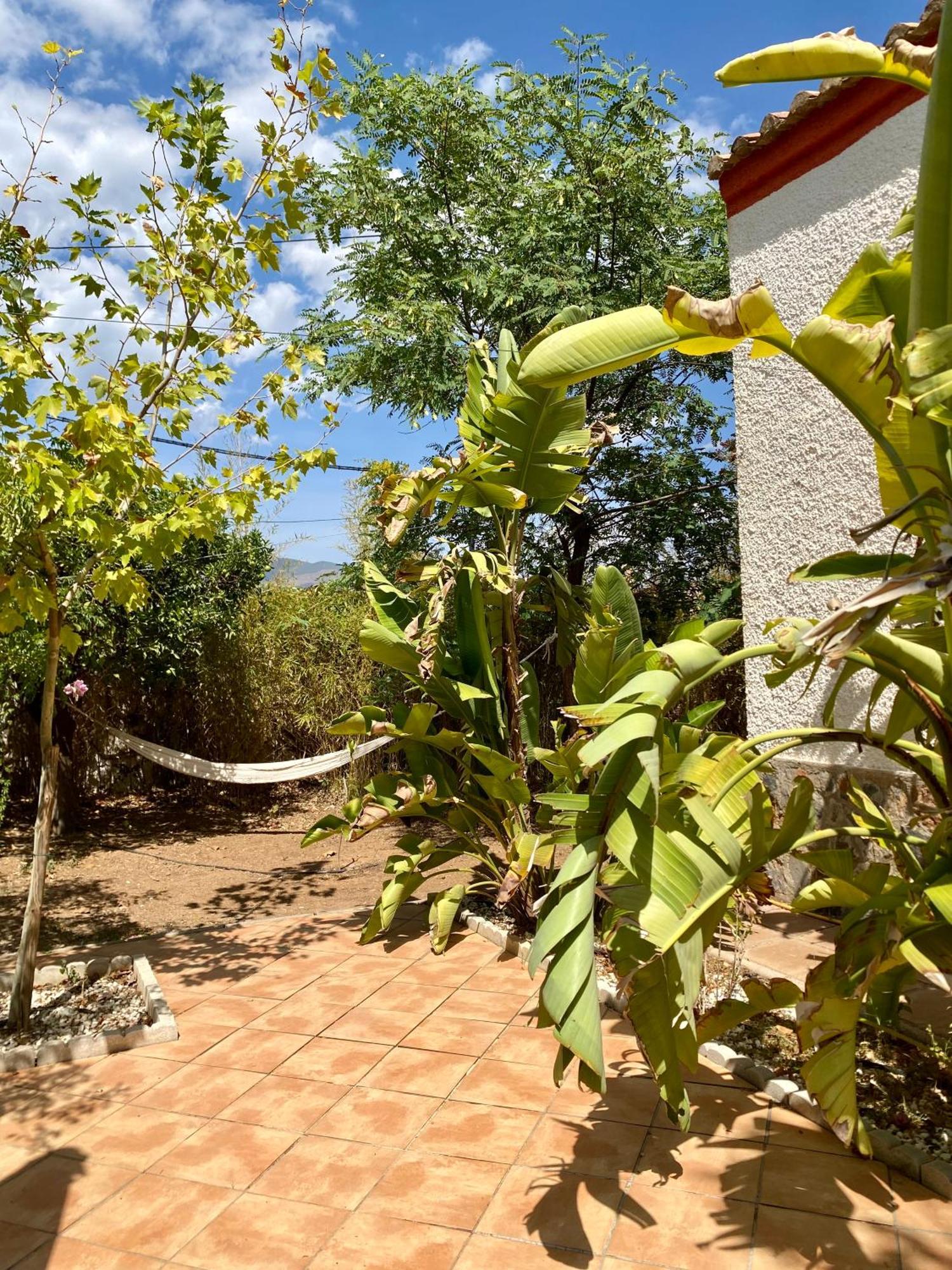 Villa Real Fundicion De Alcora Canjáyar Esterno foto