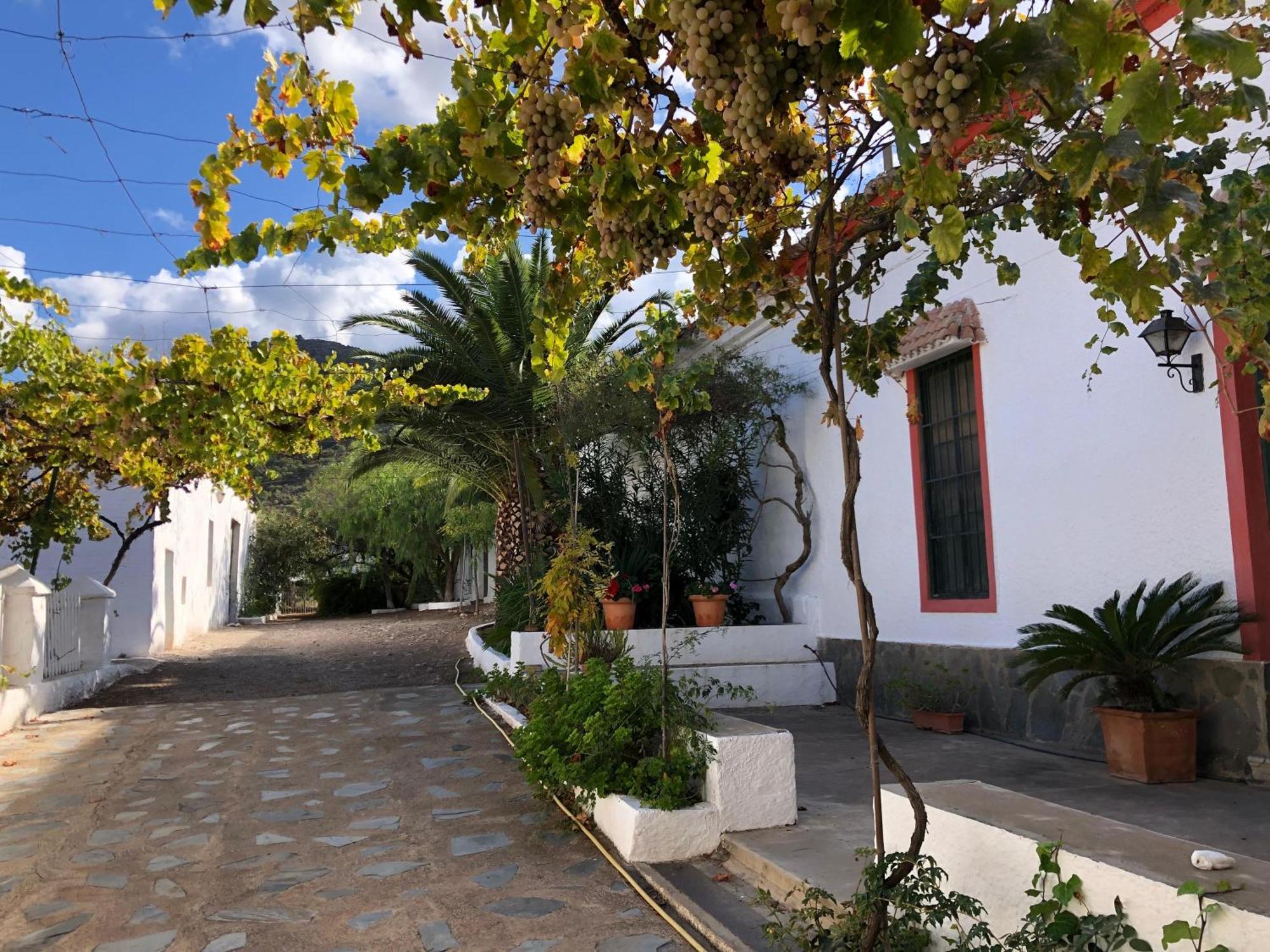 Villa Real Fundicion De Alcora Canjáyar Esterno foto
